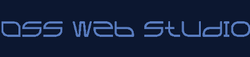 Website Logo